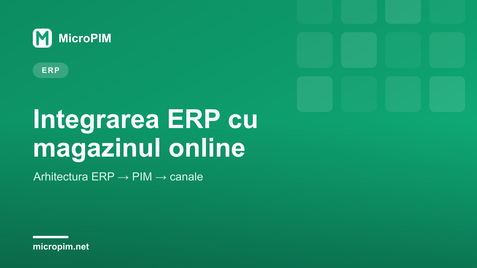 Integrarea ERP cu magazinul online: ghid pentru afaceri din România